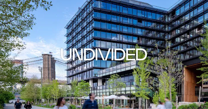 Undivided Picture 1