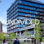 Undivided