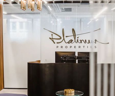 Platinum Properties