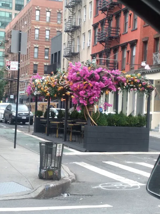 New York Real Estate Picture 1