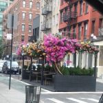 New York Real Estate