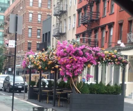 New York Real Estate