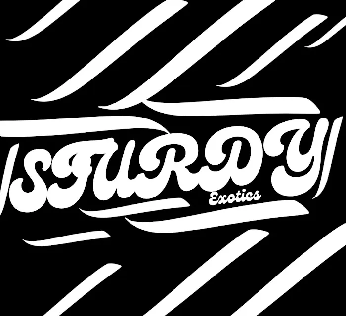 Sturdy exotic llc Picture 1