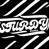 Sturdy exotic llc ico