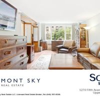 Mont Sky Real Estate ico