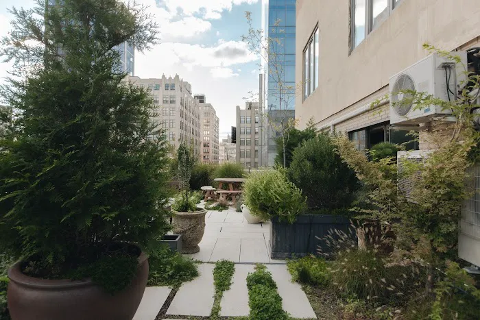 SoHo Terrace - Office Space Picture 6