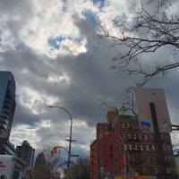 New York City Flats ico