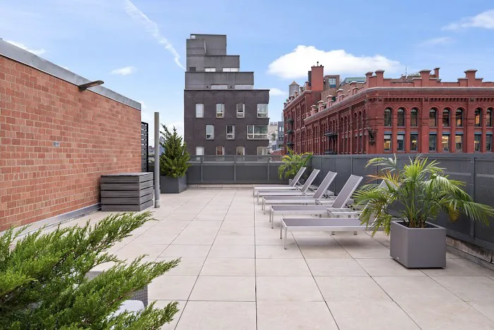 298 Mulberry Picture 4