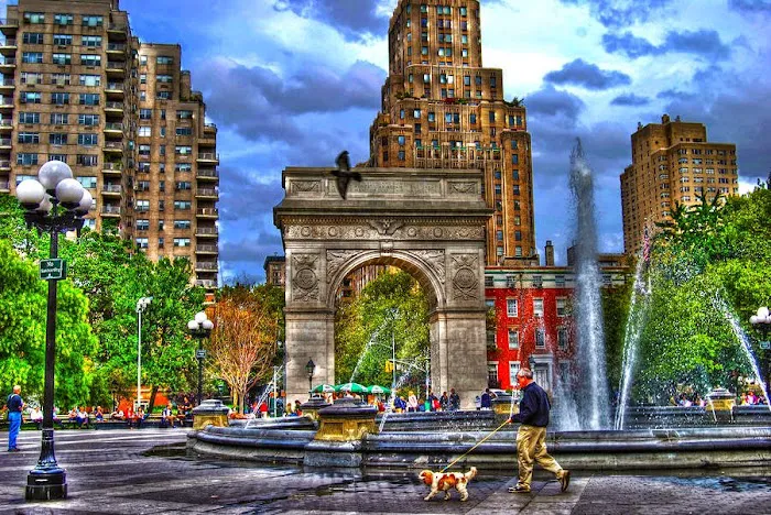 Urban Dwellers NYC Picture 3