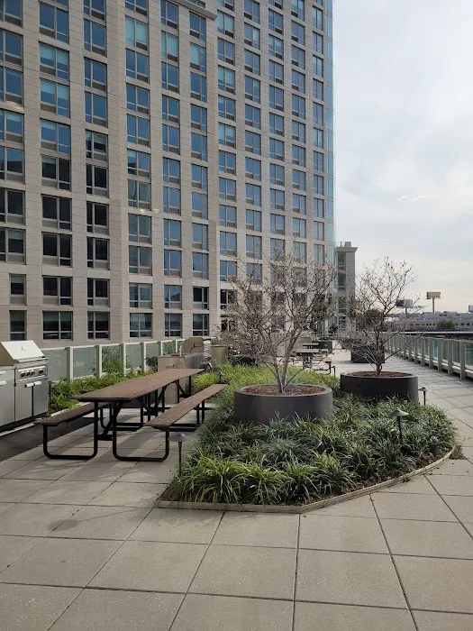 MGNY Consulting Corp Picture 2