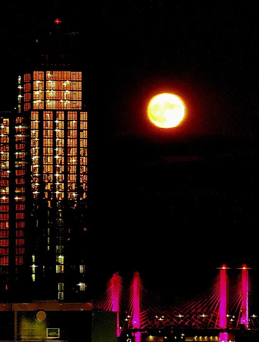 Village East Towers Inc Picture 3