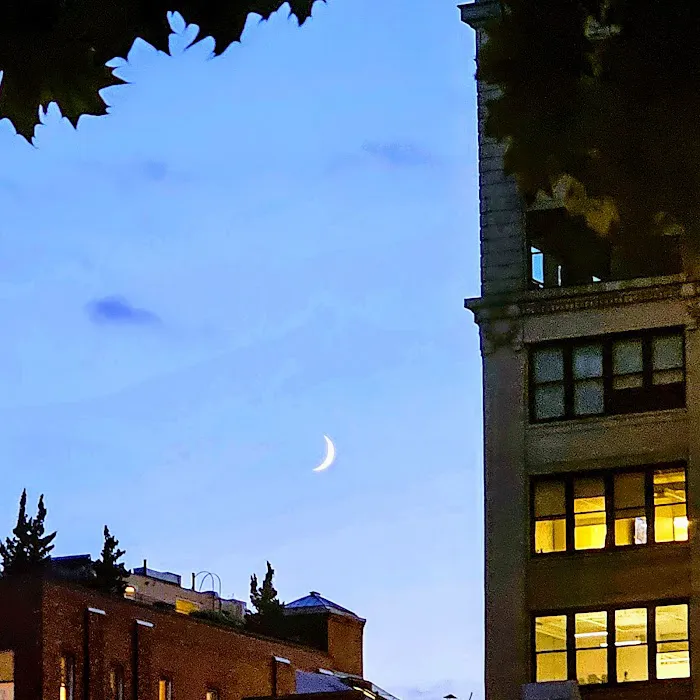 2 Gansevoort Picture 6