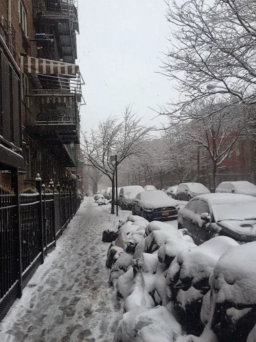 RP New York Real Estate Picture 5