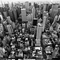 HighRiseNY Realty - Dennis Denev, Licensed Real Estate Broker ico