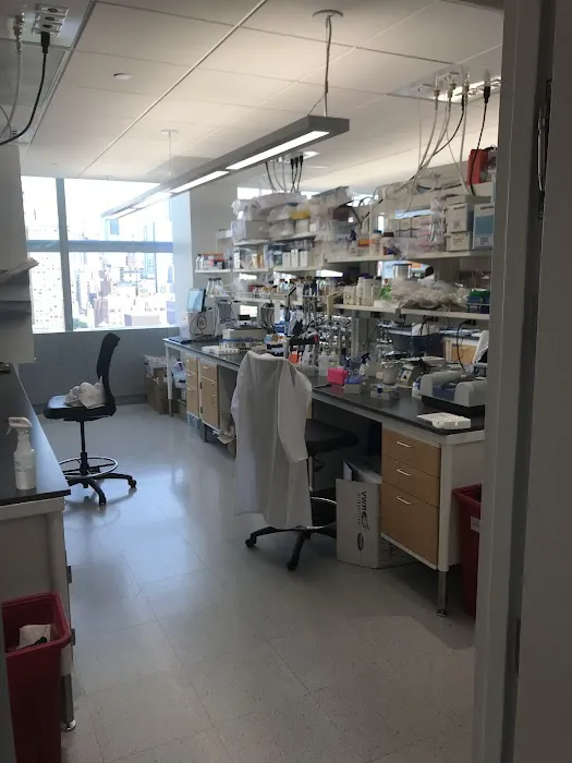 Alexandria LaunchLabs NYC Picture 3