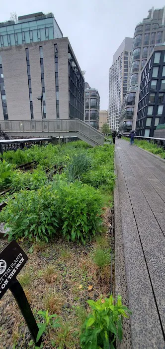 Along The High Line Picture 1