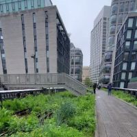 Along The High Line ico