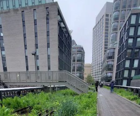 Along The High Line
