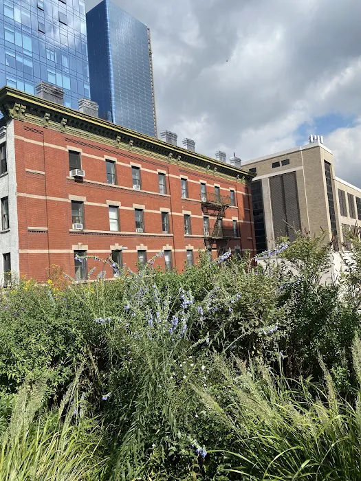 Along The High Line Picture 2