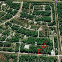 USA Land Ventures, Inc. ico