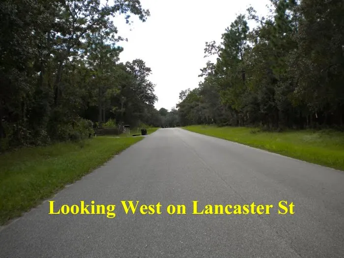 USA Land Ventures, Inc. Picture 6