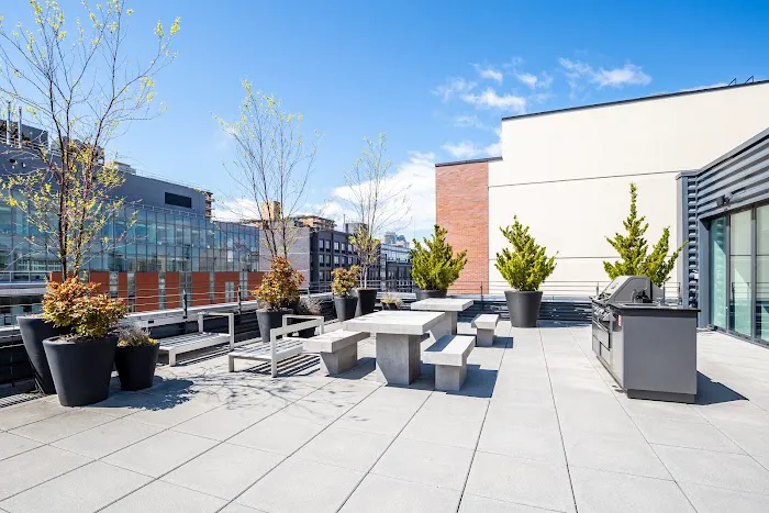 531 Myrtle Picture 7