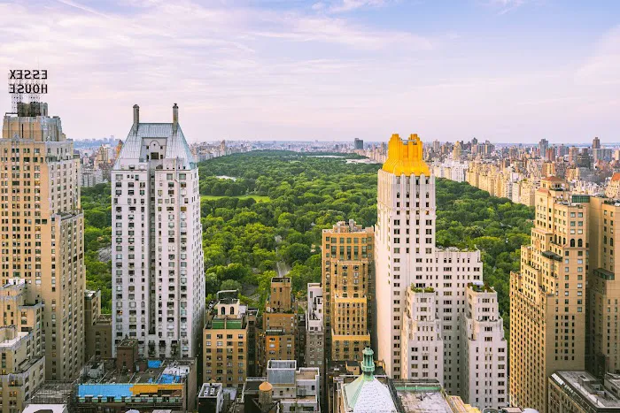 Dalia Glazer - Real Estate Agent in NYC Picture 3
