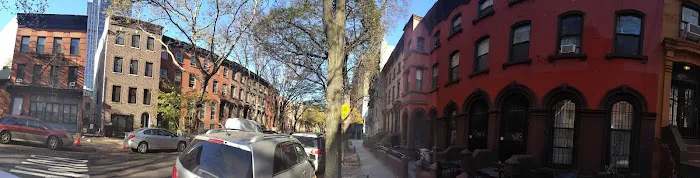 Brooklyn Properties Fort Greene Picture 1