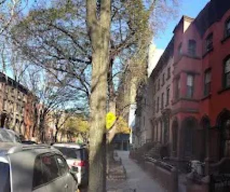 Brooklyn Properties Fort Greene