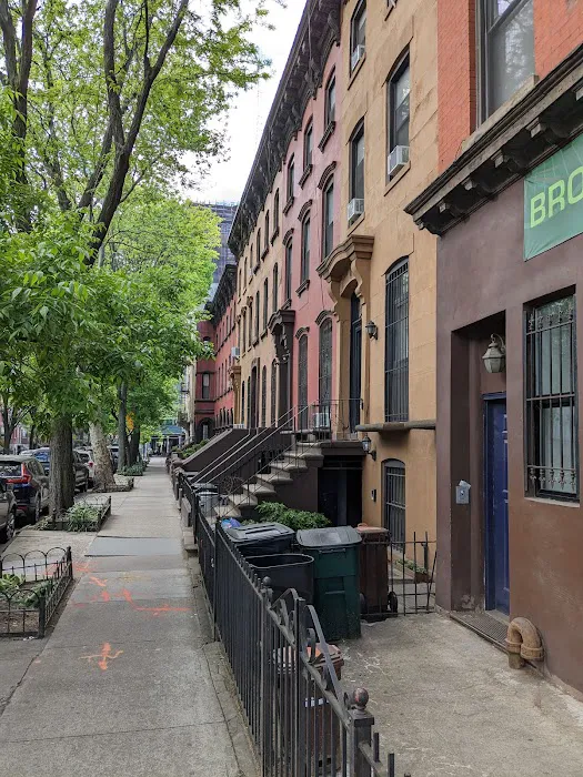 Brooklyn Properties Fort Greene Picture 4