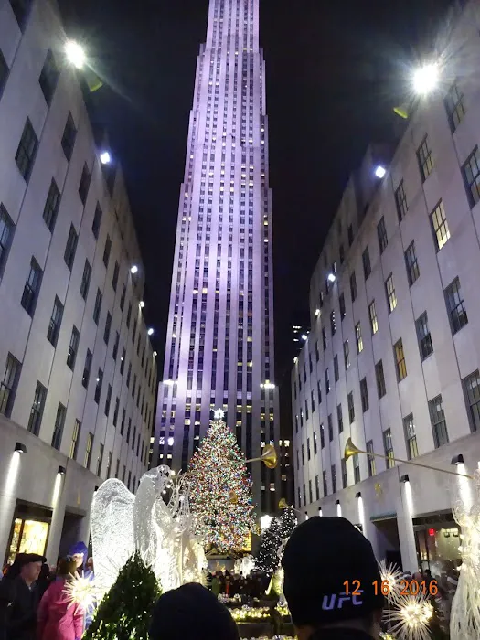 Staying in nyc inc. Picture 1