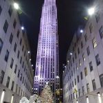 Staying in nyc inc.