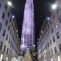 Staying in nyc inc. ico
