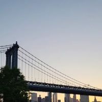 181 Front Street ico