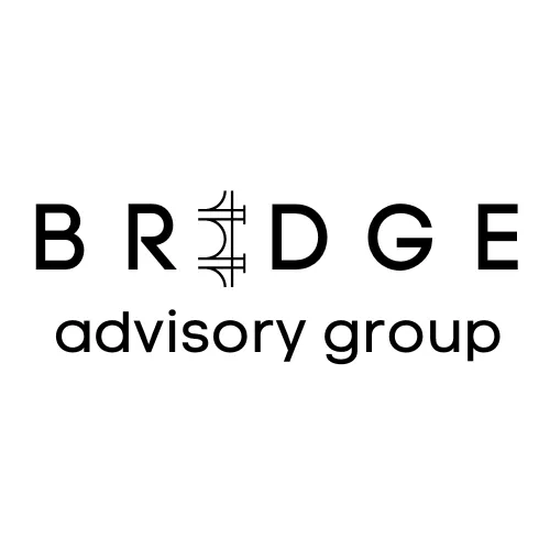 Bridge Advisory Group Picture 1