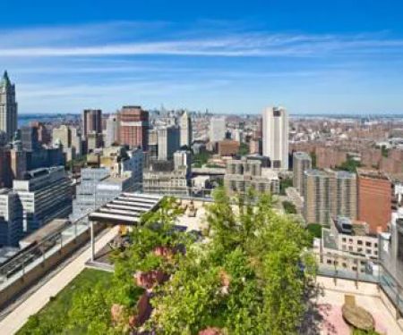 Patrick Ben Hayoun | Douglas Elliman Real Estate Agent in NYC | Agent Immobilier New York