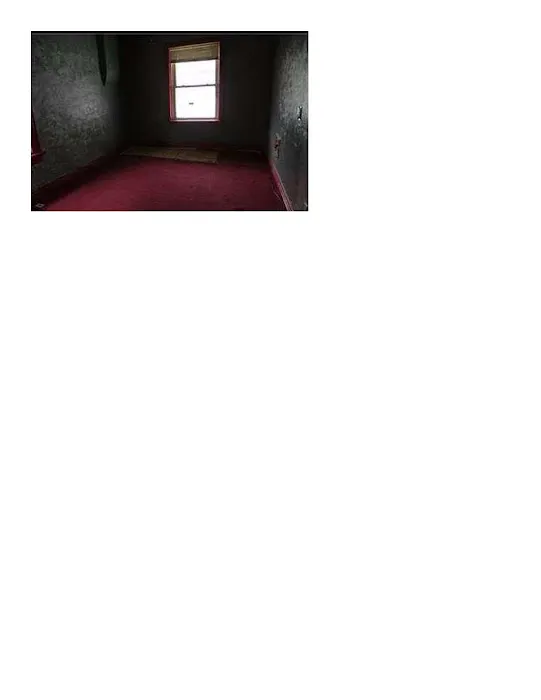 SARELIX LLC Picture 1