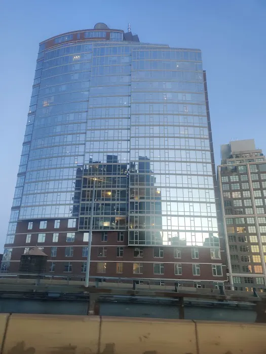 Bridgeview Dumbo Picture 2