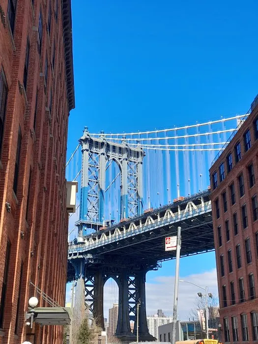 Bridgeview Dumbo Picture 1