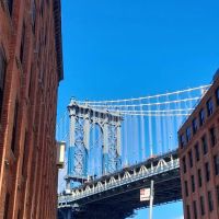 Bridgeview Dumbo ico