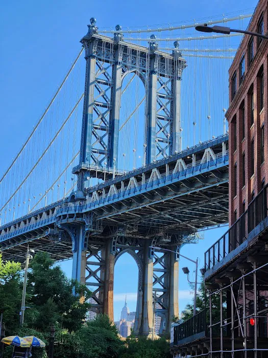 Bridgeview Dumbo Picture 6