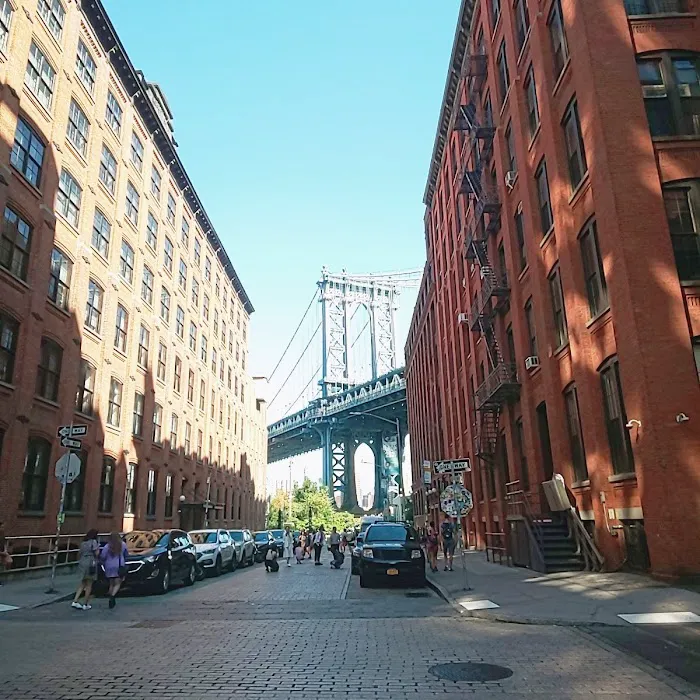 Bridgeview Dumbo Picture 10