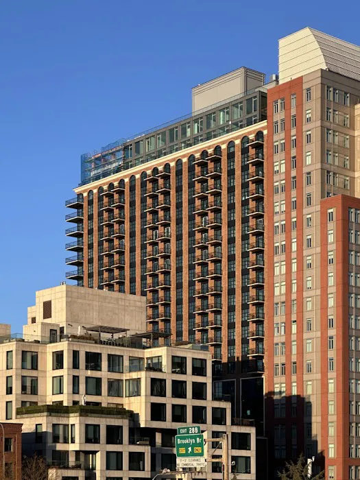 Bridgeview Dumbo Picture 8