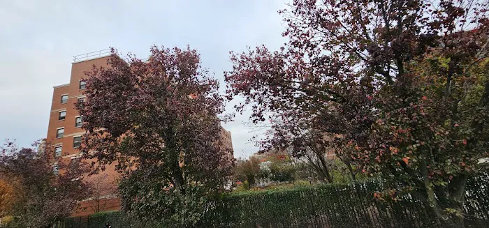 Cumberland Gardens Picture 8