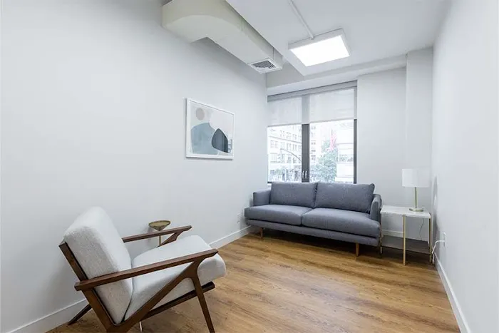 Therapeutic Alliance Suites Picture 1