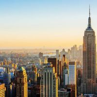 TriBro NYC ico
