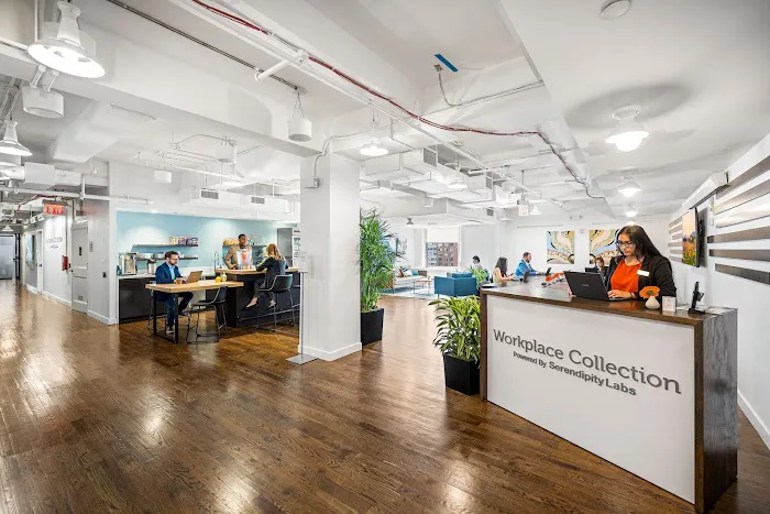 Serendipity Labs - Grand Central NYC Picture 8