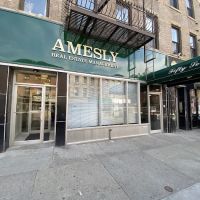 Amesly Realty Management Corp ico