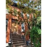 Brooklyn Real Property, Inc.
