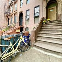 Pear NYC ico